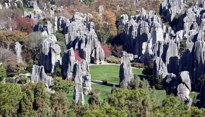 Stone Forest China