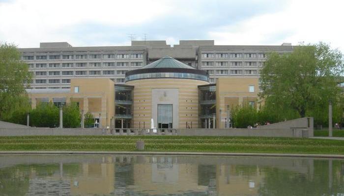 York University