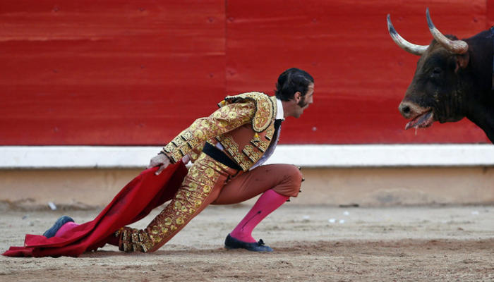 bull fighter