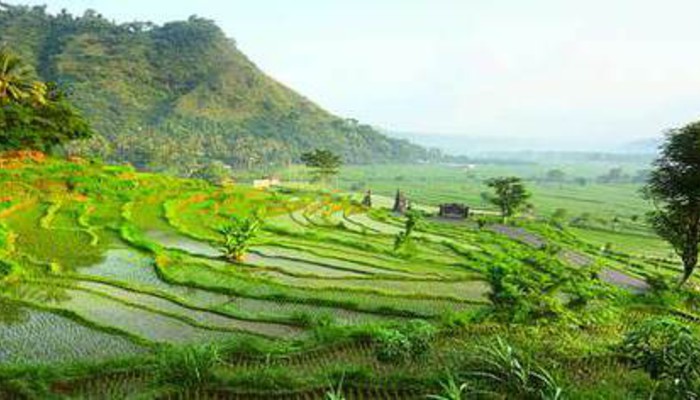 Bali Indonesia