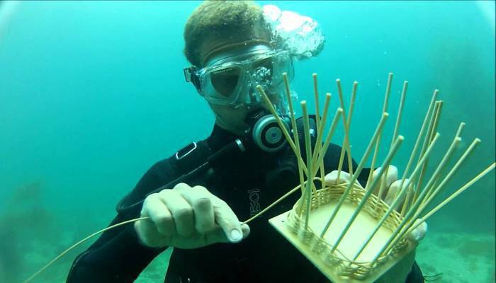 Underwater Basket Weaving