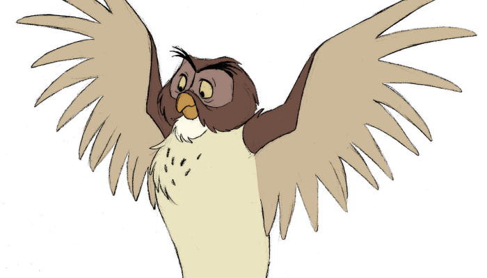 owl