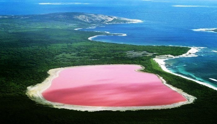 pink-lake-australia