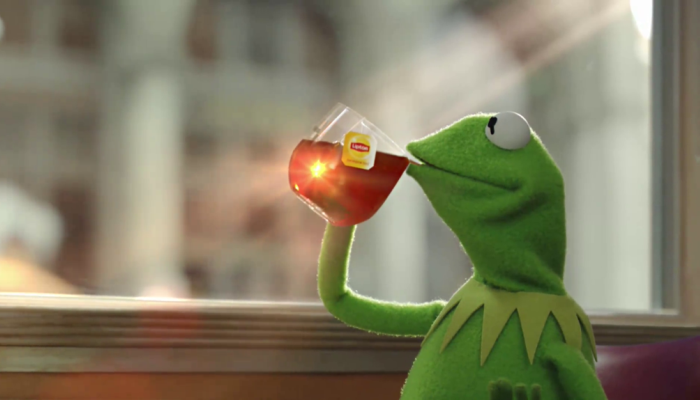 Kermit the Frog drinking tea