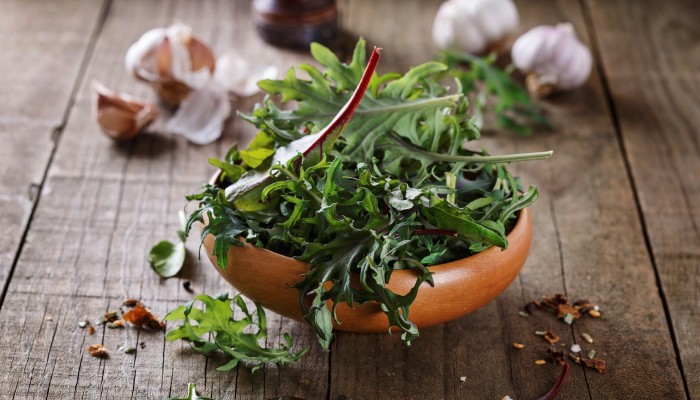 bowl of kale