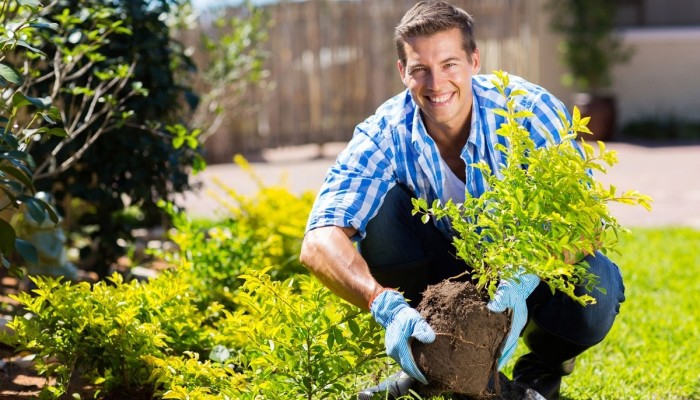 Man gardening