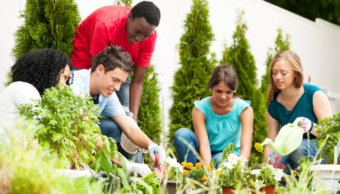 Horticultural therapist salary uk