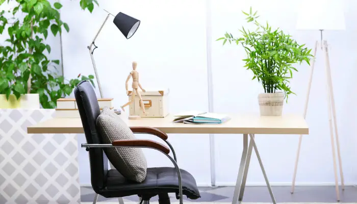 The 20 Best Office Plants To Make Your Cubicle Suck Less