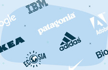 The most environmentally friendly companies in the world, including Adidas and IKEA