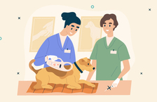 Illustration of a vet and a vet nurse treating a small dog 