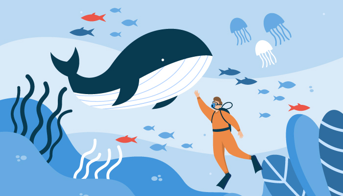 How to Become a Marine Biologist How to Become a Marine Biologist